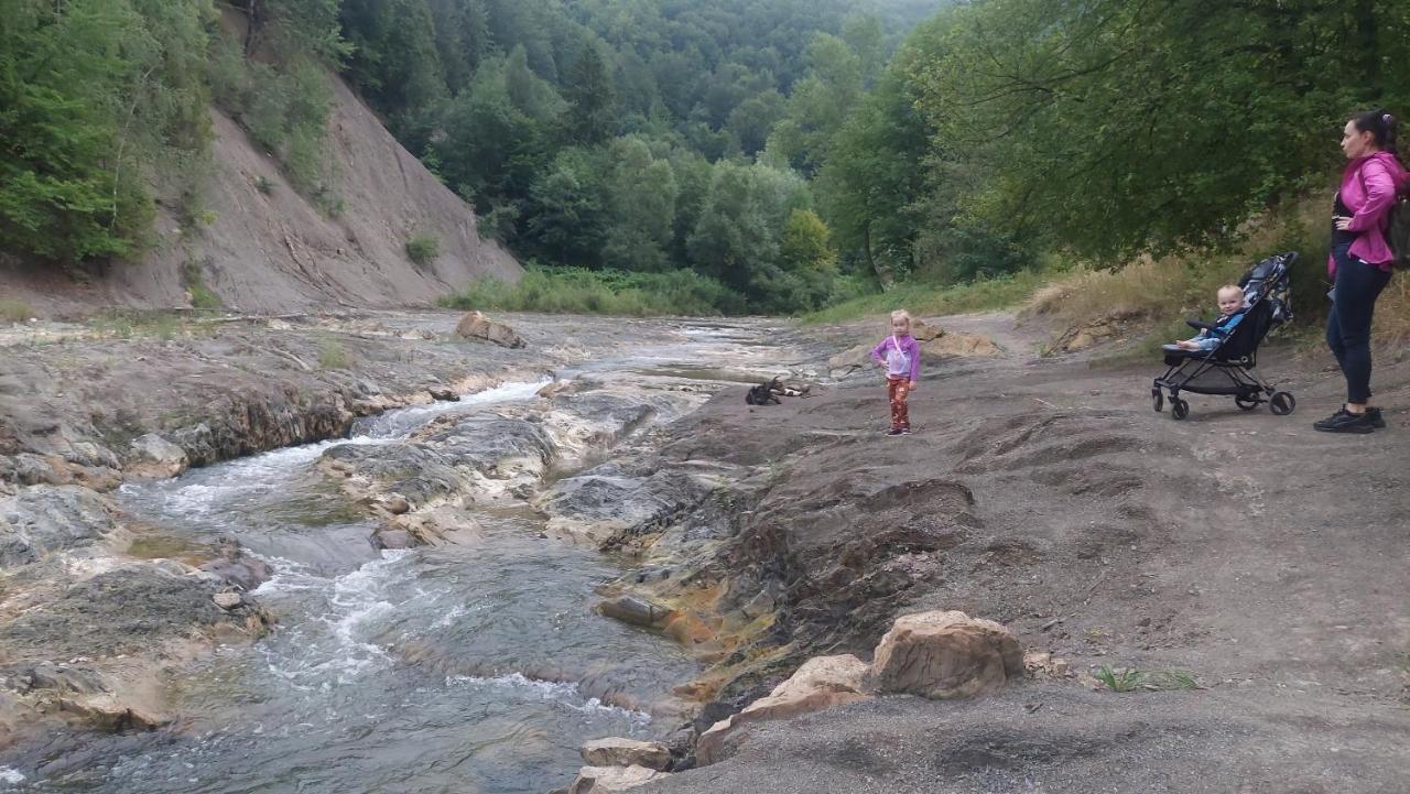 Садиба Федорчуків За Рікою Sheshory Exteriör bild